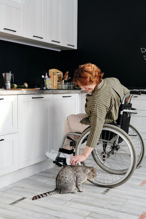 The Complete Guide to Wheelchair Accessible Kitchen Cabinets